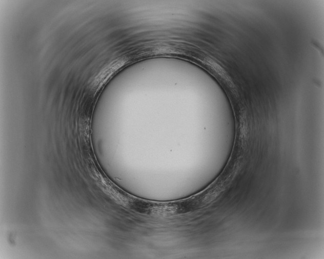 X0000102370793200808221738