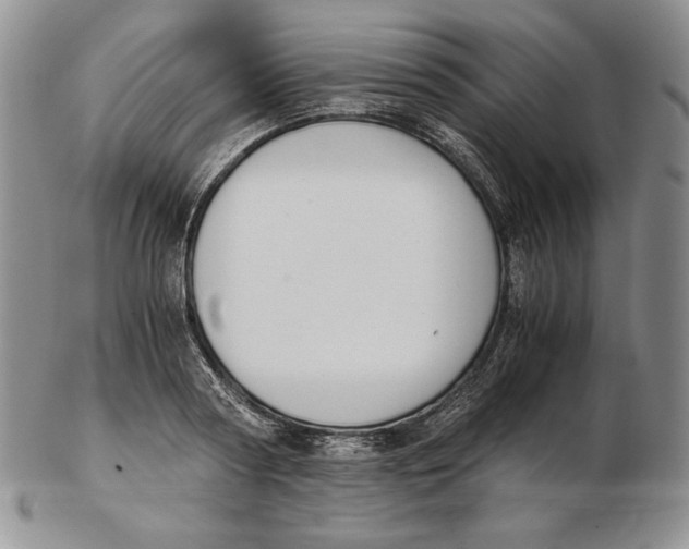 X0000102370794200808221738