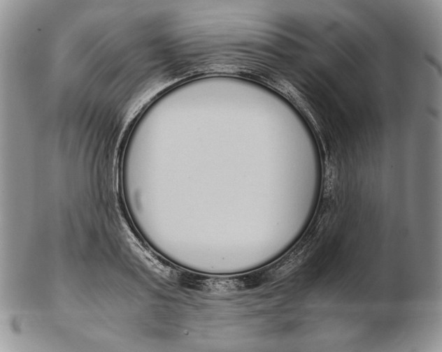 X0000102370795200808221738