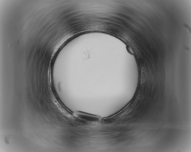 X0000102370796200808221738