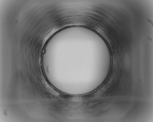 X0000102370797200808221737