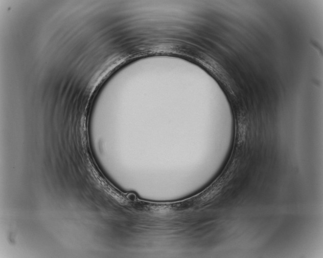 X0000102370798200808221737