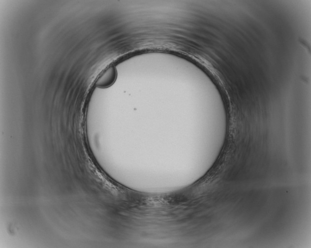 X0000102370799200808221737