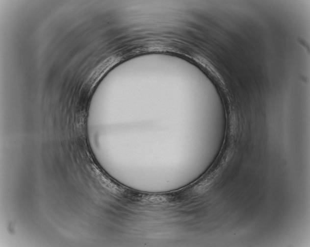 X0000102370801200808221737