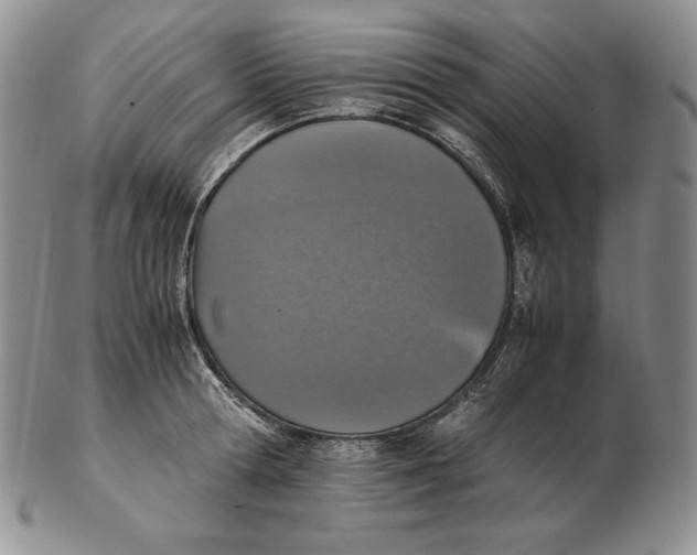 X0000102370802200808221737