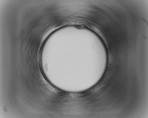 X0000102370803200808221737