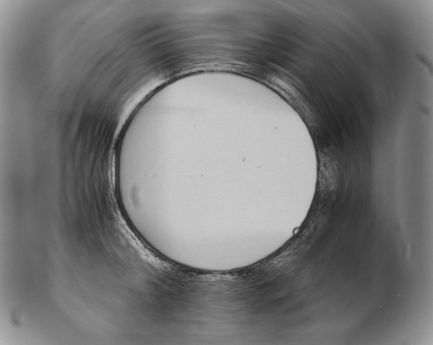 X0000102370804200808221737