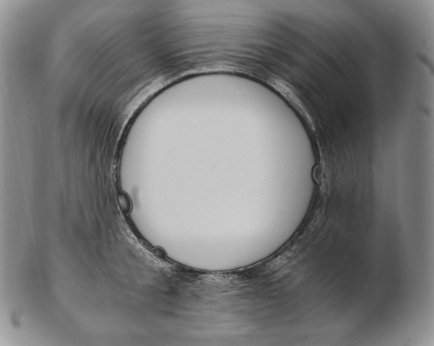 X0000102370805200808221737