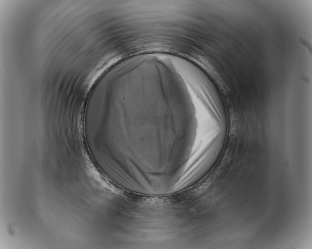 X0000102370806200808221737