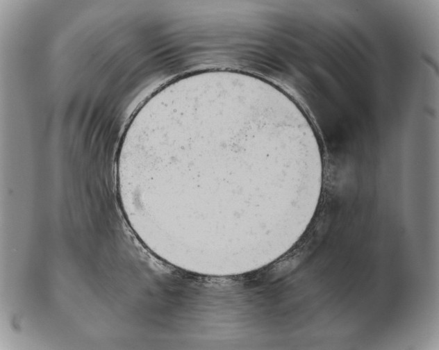 X0000102370807200808221737