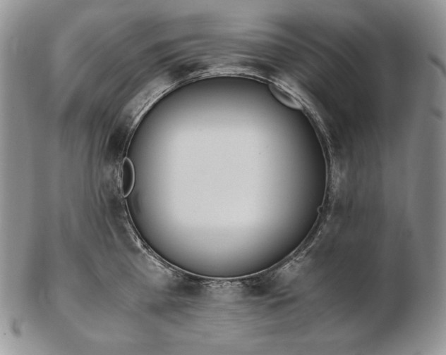 X0000102370809200808221737