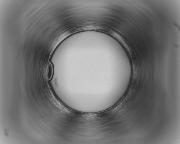 X0000102370810200808221737