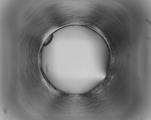 X0000102370811200808221737