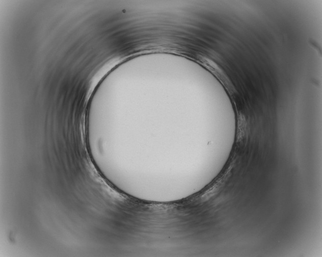 X0000102370812200808221737