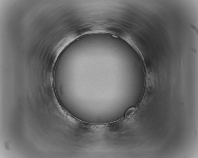 X0000102370813200808221737