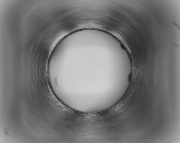 X0000102370815200808221737