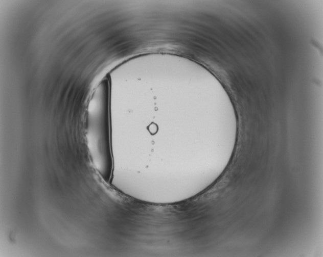 X0000102370816200808221737