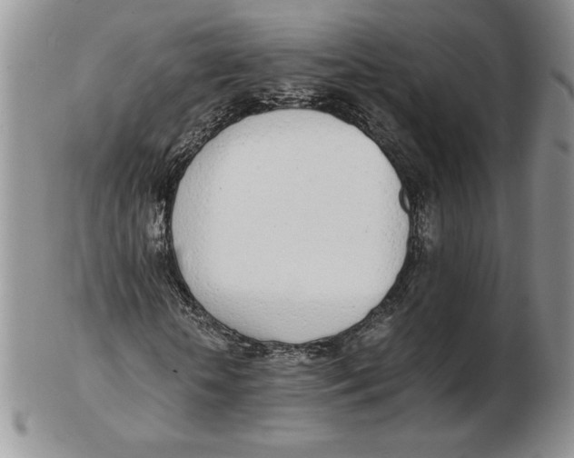 X0000102370818200808221737