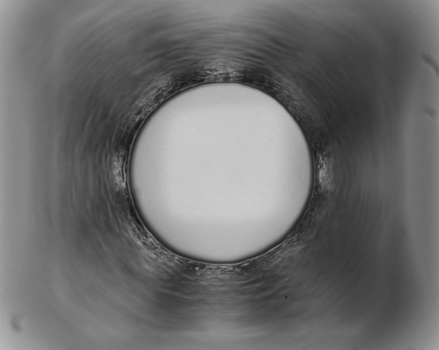 X0000102370819200808221737