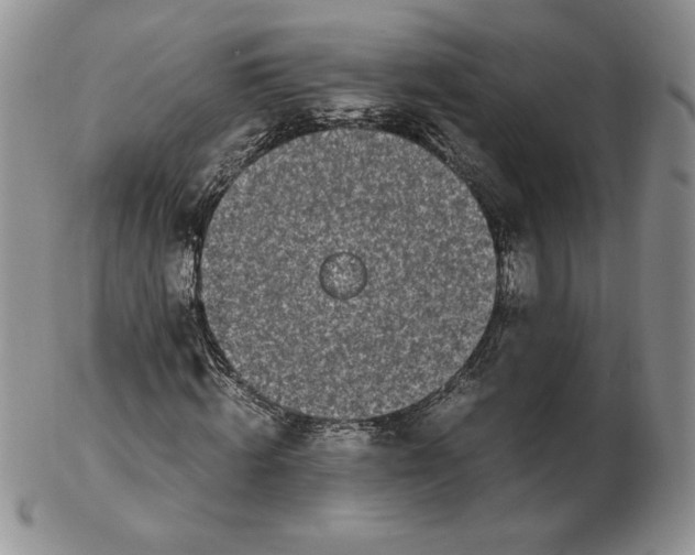 X0000102370820200808221737