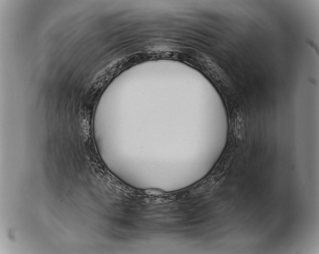 X0000102370821200808221737