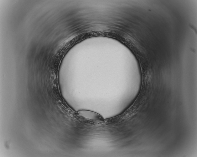 X0000102370822200808221737