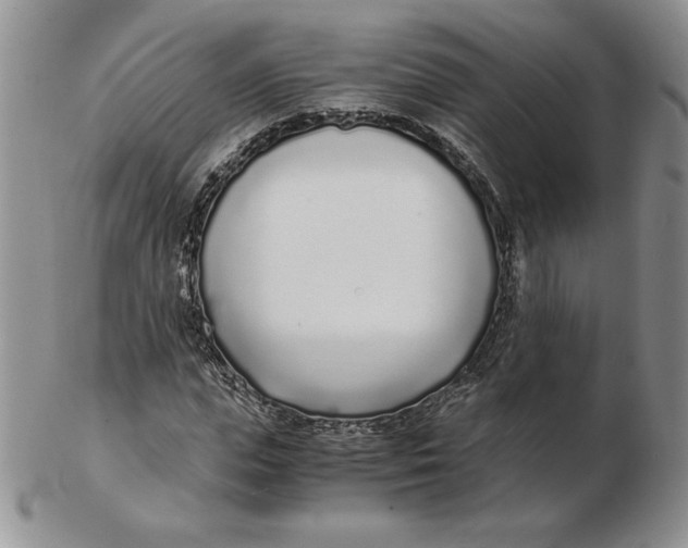 X0000102370823200808221737