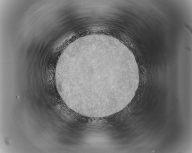 X0000102370824200808221737