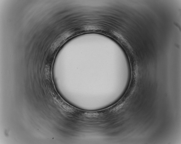 X0000102370825200808221737