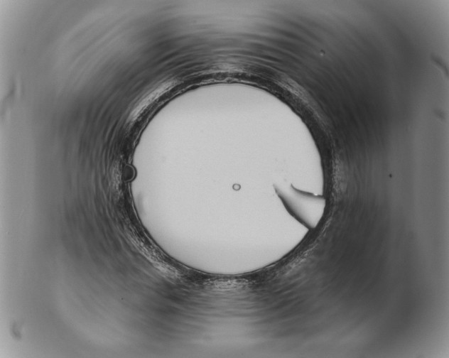 X0000102370826200808221737