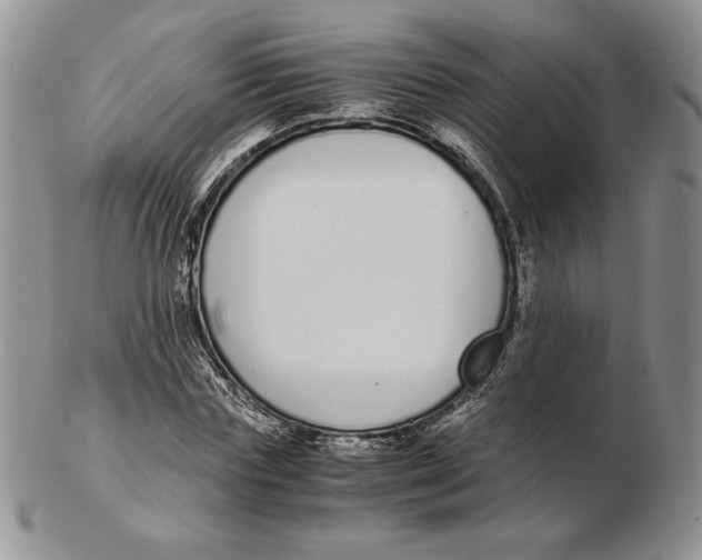 X0000102370827200808221737