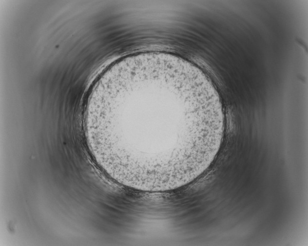 X0000102370828200808221737