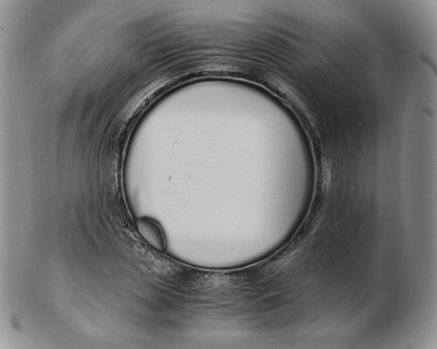 X0000102370829200808221737