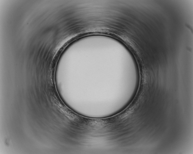 X0000102370830200808221737