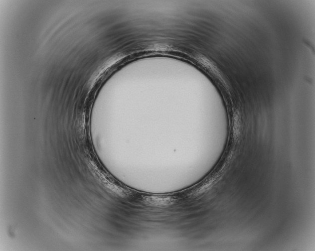 X0000102370831200808221737