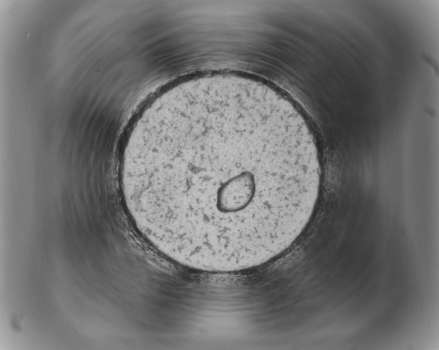 X0000102370832200808221737