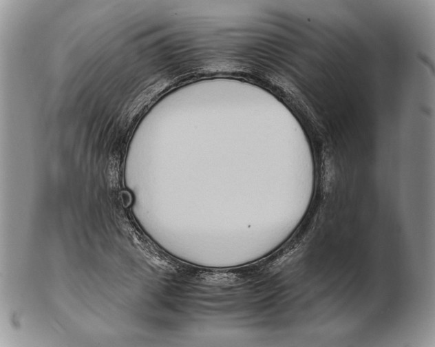 X0000102370833200808221737