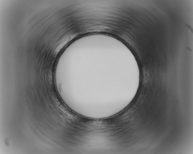 X0000102370834200808221737