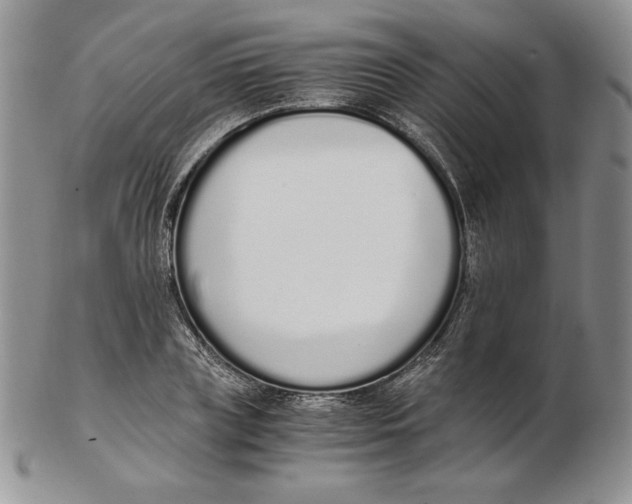 X0000102370835200808221737