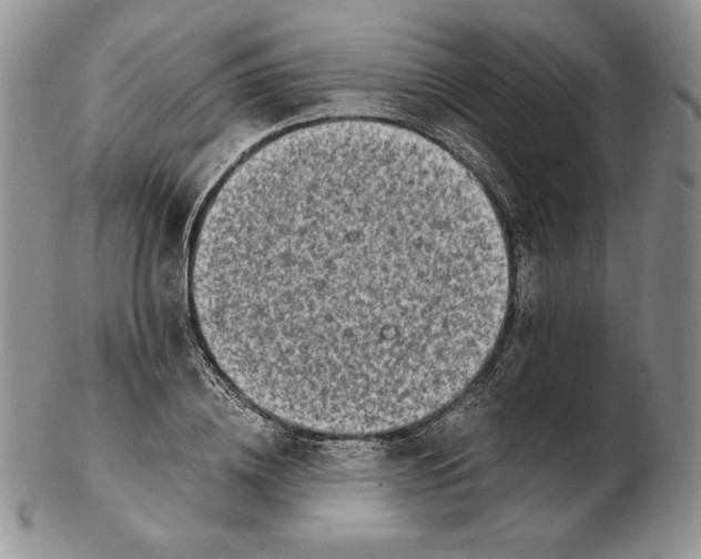 X0000102370836200808221737