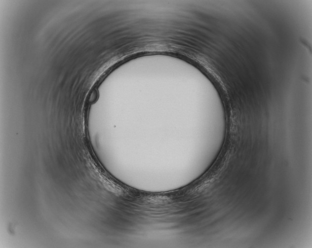 X0000102370837200808221737