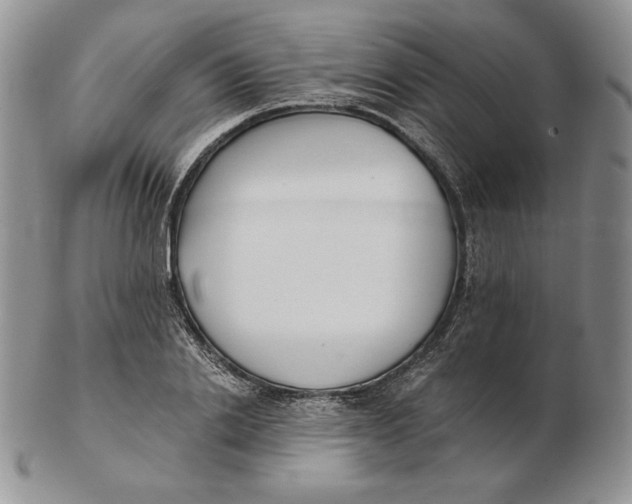 X0000102370838200808221737