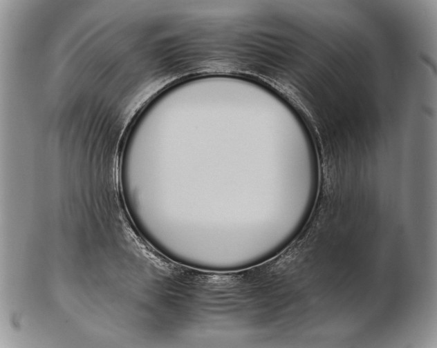 X0000102370839200808221737