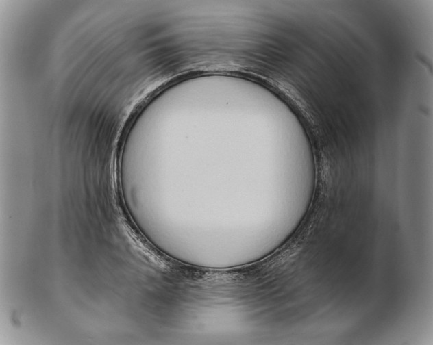 X0000102370840200808221737