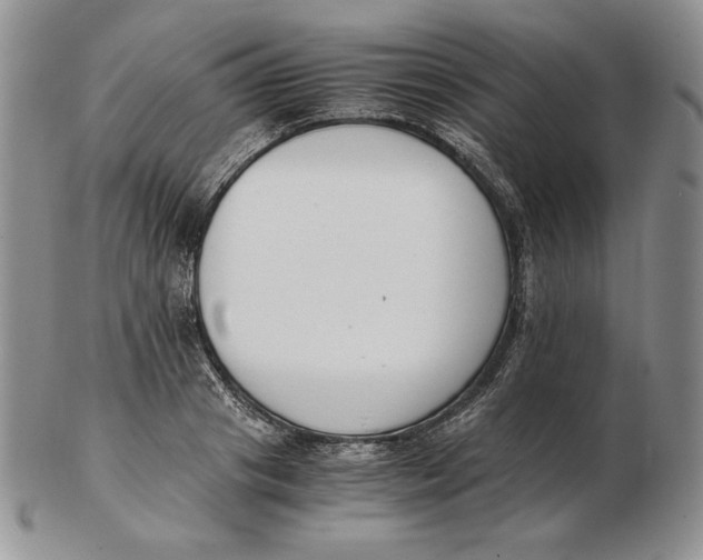 X0000102370841200808221737