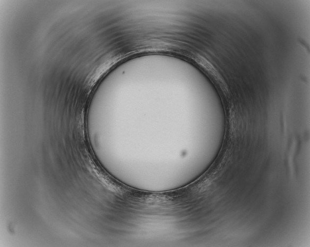 X0000102370842200808221737