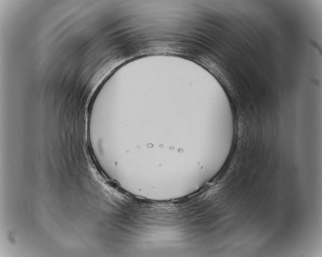 X0000102370844200808221737