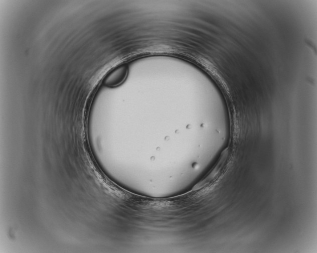 X0000102370845200808221737