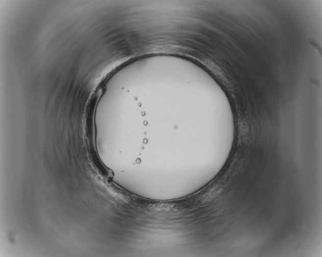 X0000102370846200808221737