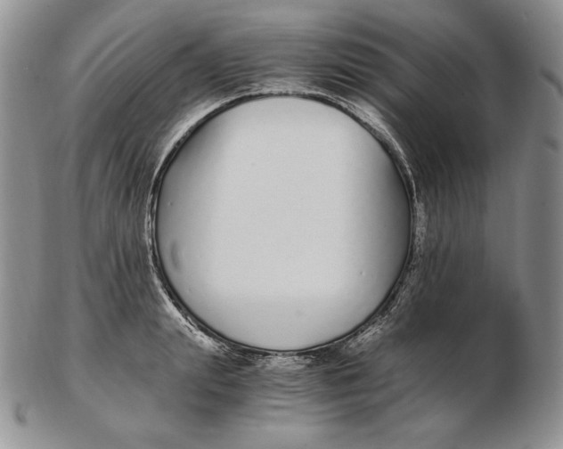 X0000102370847200808221737